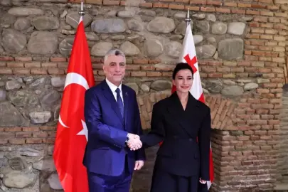 Bakan Bolat, Gürcistanlı mevkidaşı ile görüştü