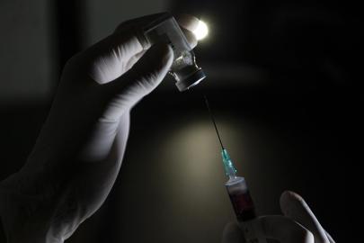 İstanbul'da kuduz riskli temas arttı: 123 bin başvuru