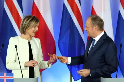 İzlanda, gelecek aylarda AB üyeliği müzakereleri için referanduma gidecek