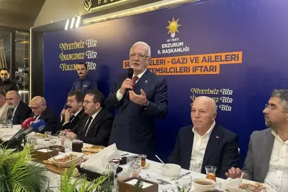AK Parti Genel Başkanvekili Elitaş, Erzurum'da iftar programında konuştu Açıklaması