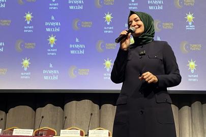 AK Parti'li Kaya'dan CHP'ye Sert Tepki: 'Darbeci Zihniyet ile Kol Kola Girmiştir'