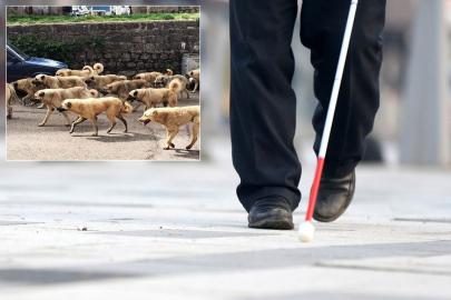 Belediye başkan yardımcısından görme engelli vatandaşa şok cevap