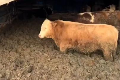 Görüntüler tepki toplamıştı! Bakanlık hemen harekete geçti