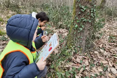 Lokomotif’in minikleri Ormanya’da keşfetti