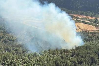 Aydın’da orman yangını