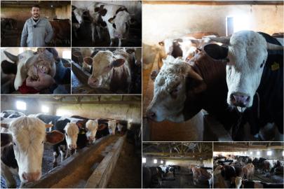 Besici Adnan Özaras: Maliyetler arttı, kurbanlık fiyatları yükseldi