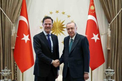 Cumhurbaşkanı Erdoğan-Rutte görüşmesinin detayları belli oldu