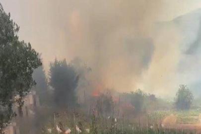 İstanbul Beykoz’da ormanlık alanda yangın 