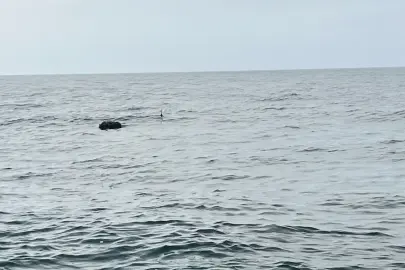 Karadeniz’deki şüpheli mayın SAS timlerince imha edildi!