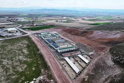 Kayseri Kocasinan'dan sokak hayvanlarına özel mekan