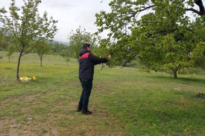 Malatya'da dolu sonrası hasar tespit çalışmalarına başlandı