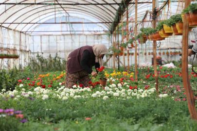 Muğla'da Üretici Kadınlar Meclisi kuruluyor