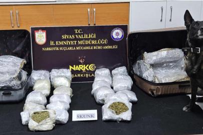 Sivas’ta 12,5 kilogram skunk ele geçirildi: 2 kişi tutuklandı