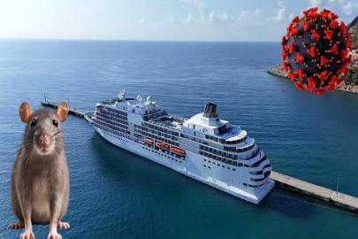 Atlantik’te seyreden kruvaziyer gemisinde virüs alarmı: 3 ölü, 5 vaka