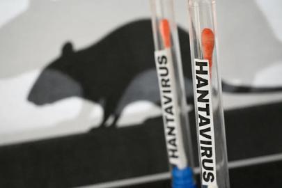Avustralya’dan hantavirüs açıklaması: Gemideki vatandaşların sağlık durumu iyi