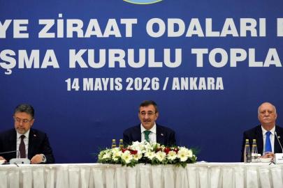 Cevdet Yılmaz: Tarımda yükselen yaş ortalamasını geriye çevirmemiz gerekiyor