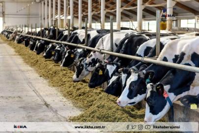 IPARD III kapsamında 218 projeye 2,5 milyar TL hibe desteği