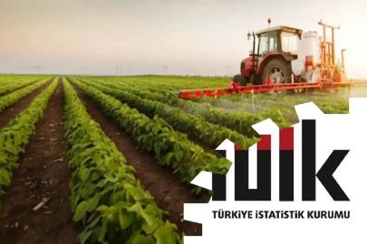 Tarımsal girdi maliyetleri yıllık yüzde 34,26 arttı