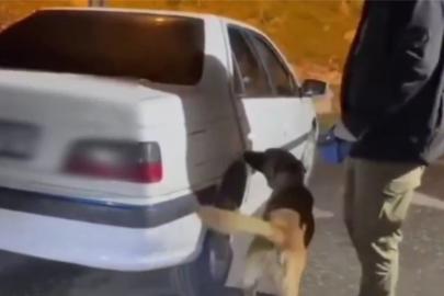 Erzurum'da 27 kilogram likit metamfetamin ele geçirildi