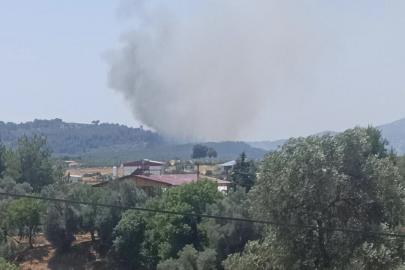 Muğla'da tarım arazisinde çıkan yangın ormana sıçradı