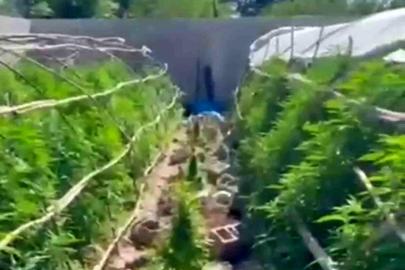 Seraları uyuşturucu üretim tesisine çeviren şahıslara operasyon