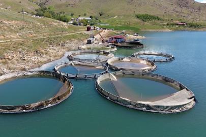 Su ürünlerinde sürdürülebilirlik için Ulusal Eylem Planı yayımlandı
