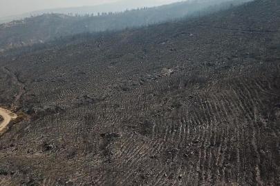 Muğla Seydikemer'deki orman yangınına havadan müdahale yeniden başladı (3)