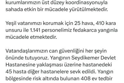 Muğla’da orman yangını (8)