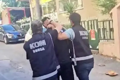 Suç örgütlerini övenlere operasyon