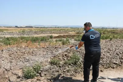 Balıkesir'de ilaçlama ekipleri sahada
