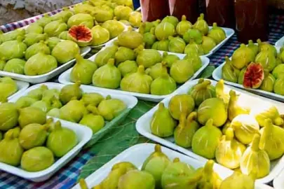 İzmir’in bardacıkları görücüye çıkıyor... En tatlı festival 22-23 Ağustos’ta Payamlı’da