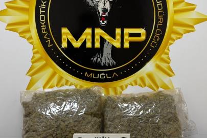 Muğla’da 1,9 kilogram esrar ile yakalanan 2 şüpheli tutuklandı